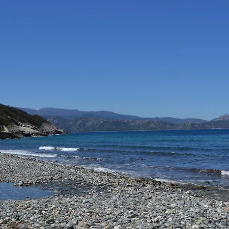 Maison Les Pieds Dans L Eau Farinole