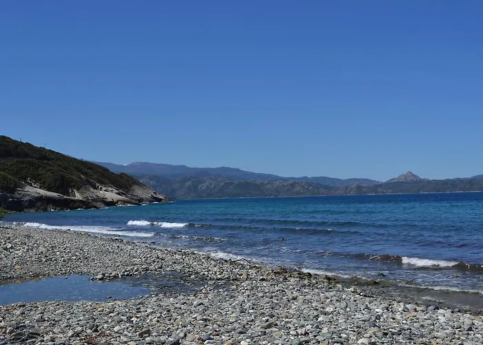 Maison Les Pieds Dans L Eau Farinole